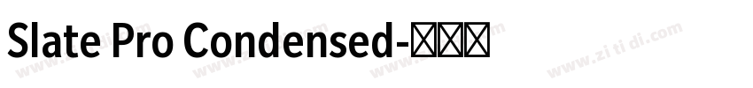 Slate Pro Condensed字体转换
